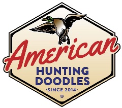 American Hunting Doodles