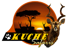 Kuche-Safaris-Logo-300x221