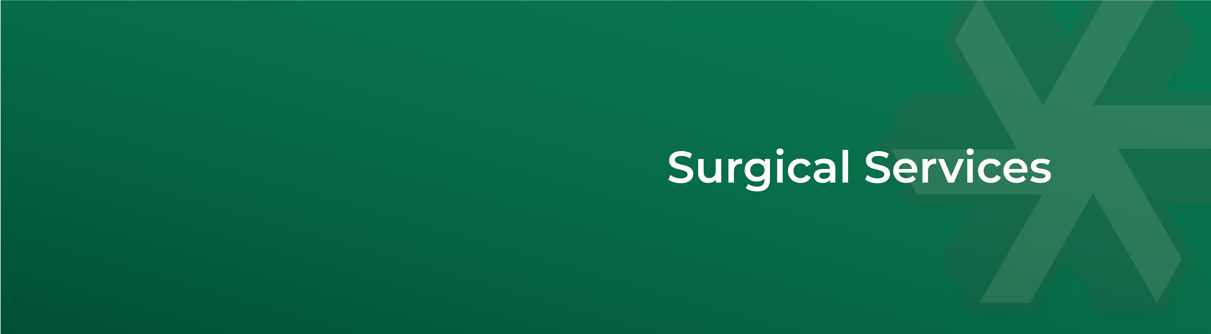 SurgicalServices-Header-01